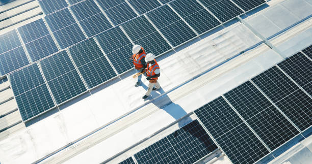 Best Roof Maintenance and Cleaning  in Frenchtown, MT