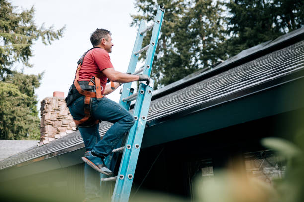 Best Wood Shake Roofing  in Frenchtown, MT